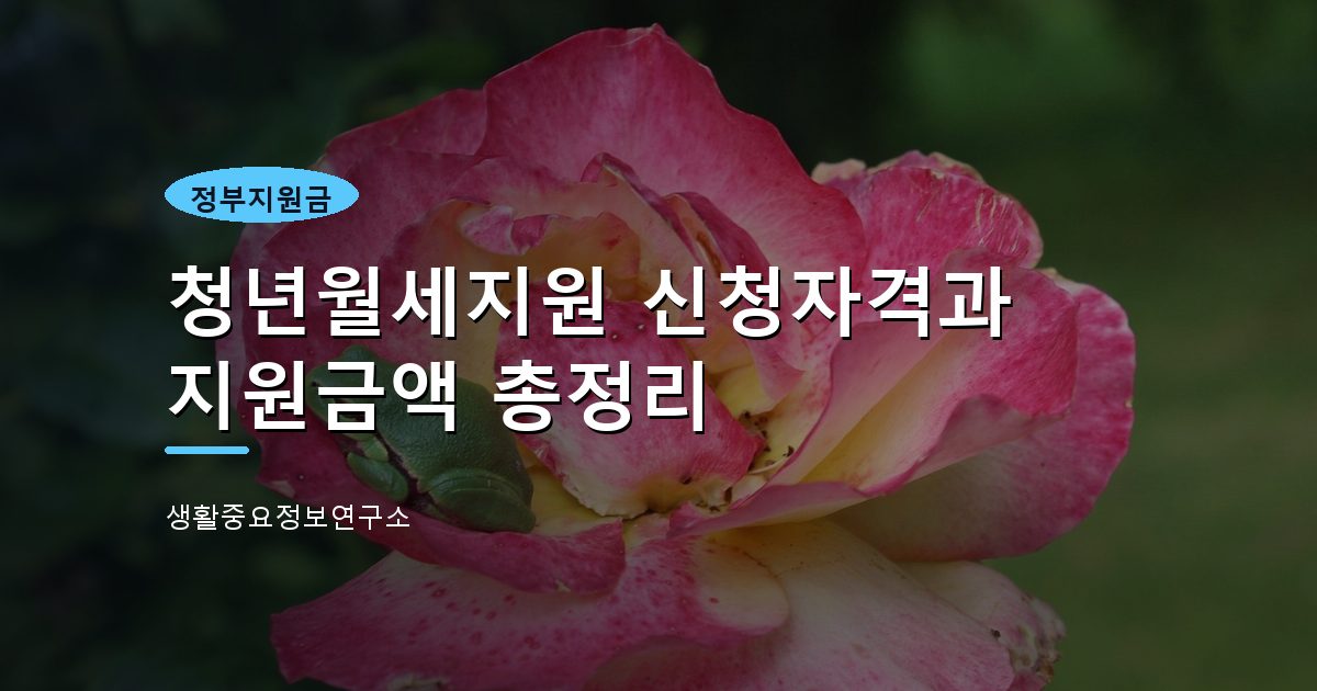 청년월세지원 신청자격과 지원금액 총정리