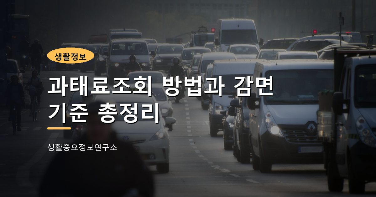 과태료조회 방법과 감면 기준 총정리