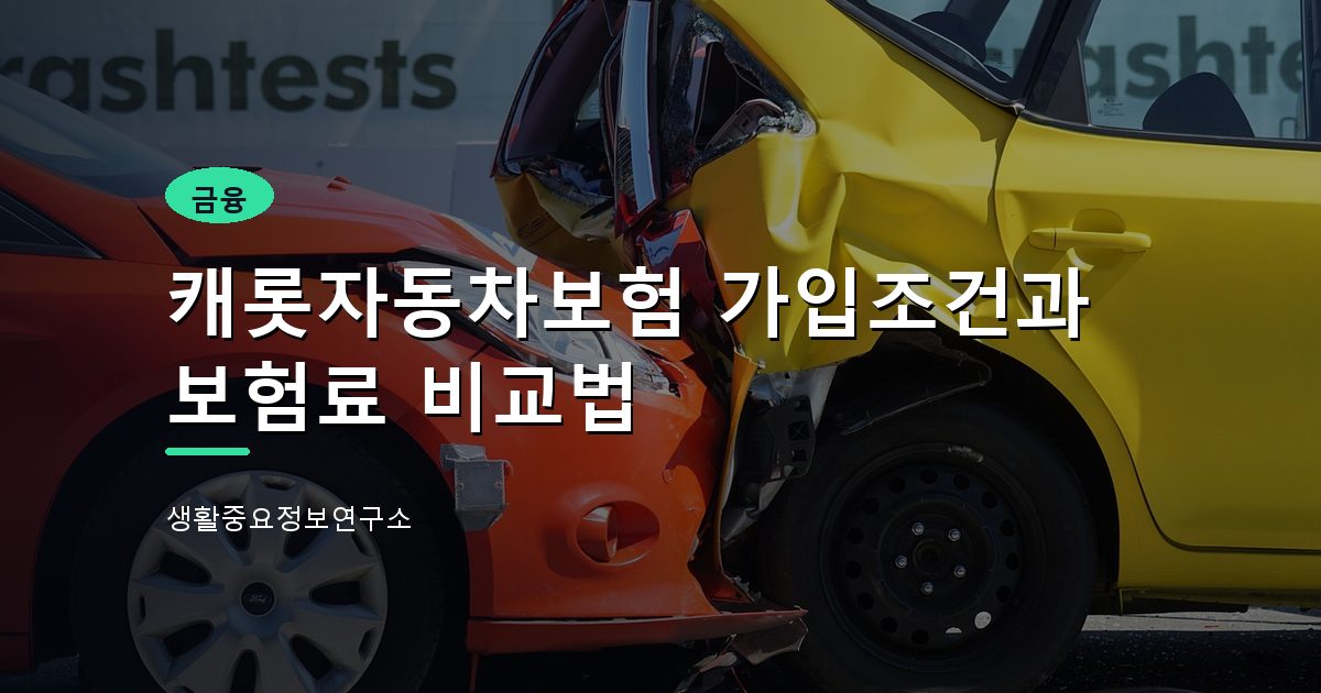 캐롯자동차보험 가입조건과 보험료 비교법