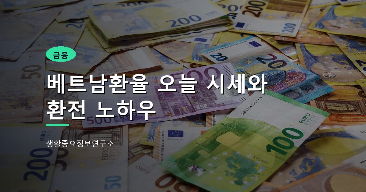 베트남환율 오늘 시세와 환전 노하우