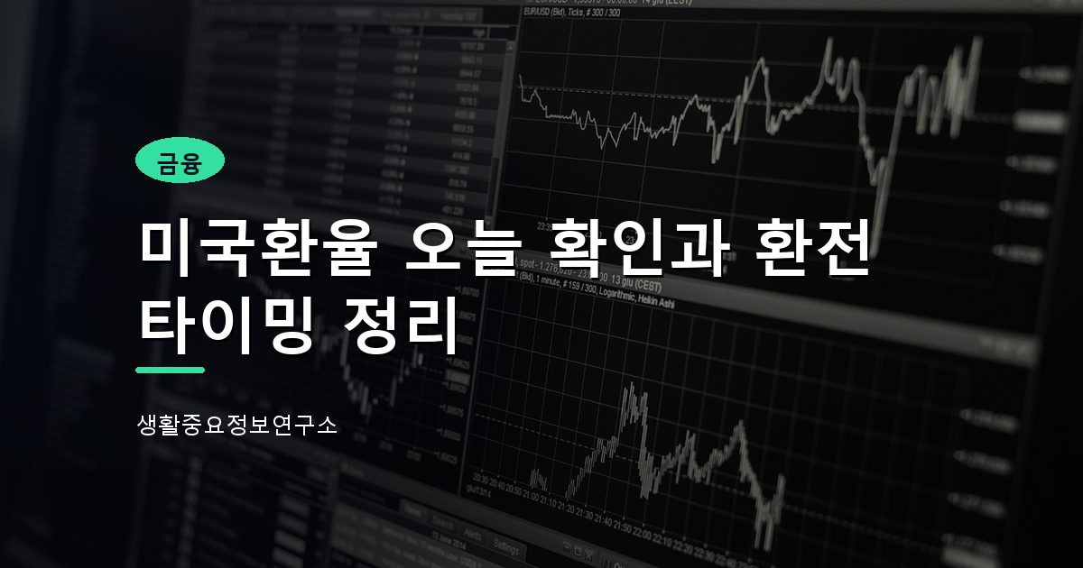 미국환율 오늘 확인과 환전 타이밍 정리