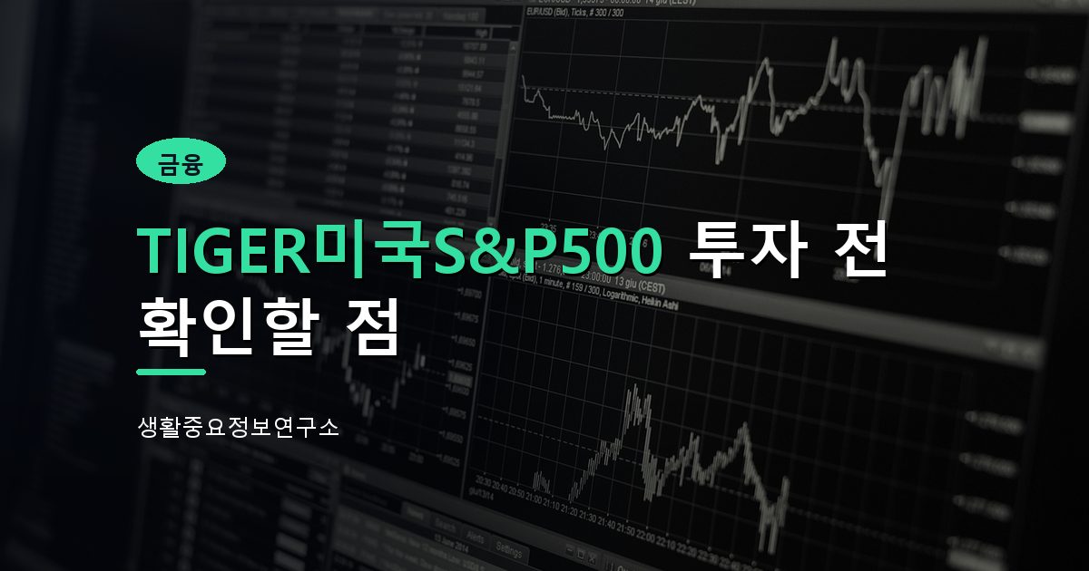 TIGER미국S&P500 투자 전 확인할 점