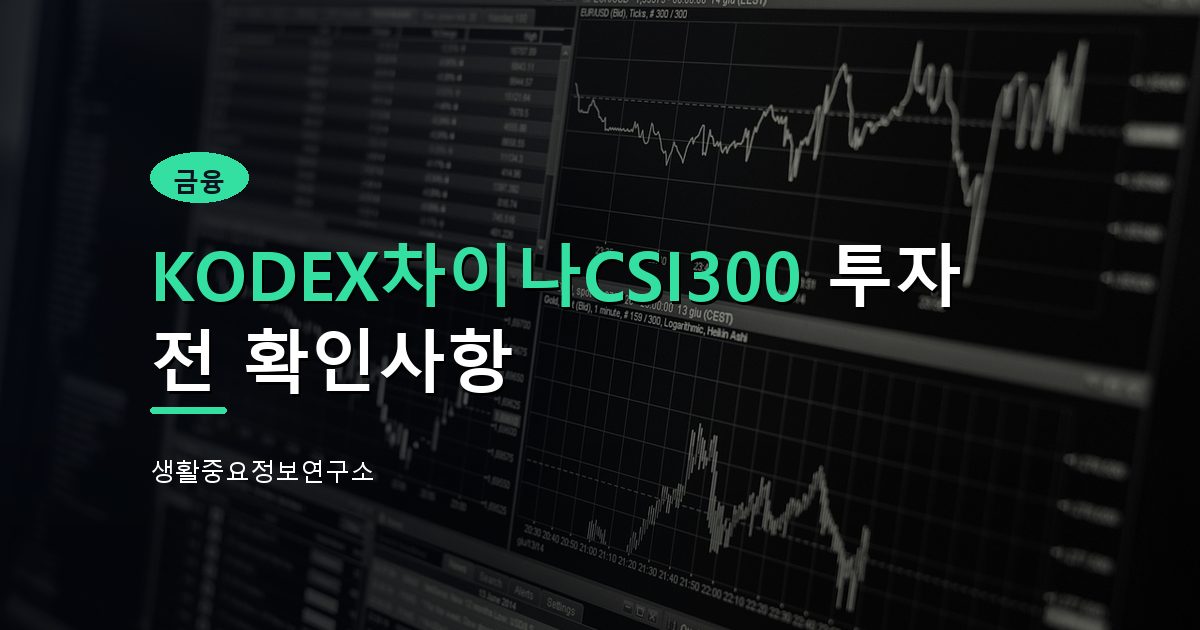KODEX차이나CSI300 투자 전 확인사항